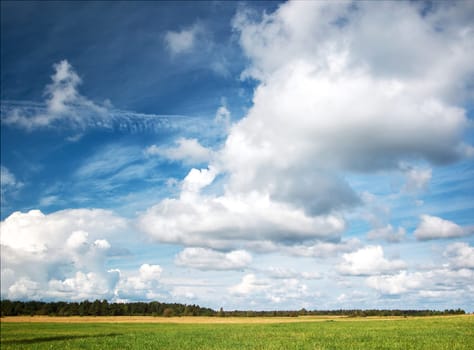 Green field and beautiful clouds in the sky