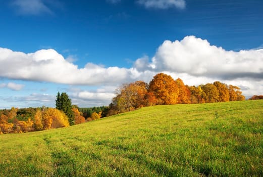 Autumnal landscape with green grass and orange trees