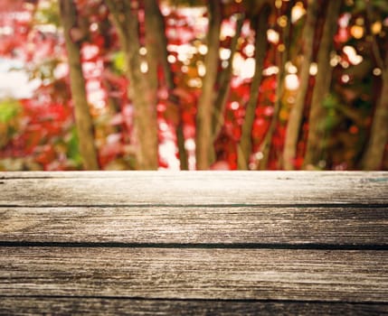 Wooden board background with green banches outdoors