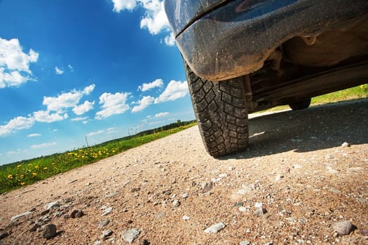 Car tires on gravel goad near dandelion field