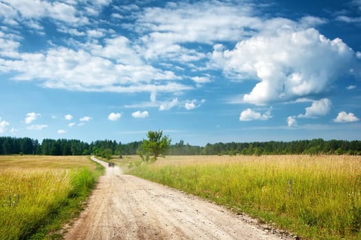 Countryside road with a car on tha background