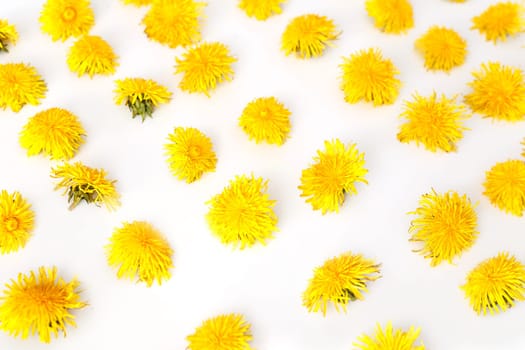 Flowers seamless pattern, dandelions. Summer concept, top view, flat lay.