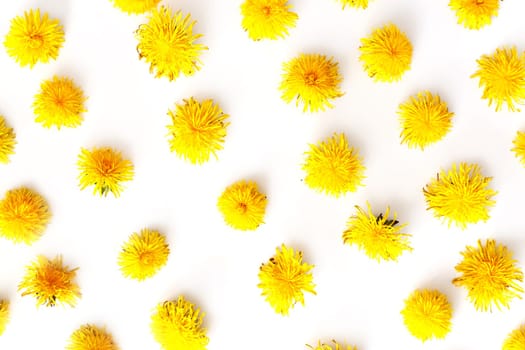 Flowers frame pattern, dandelions. Summer concept, top view, flat lay.