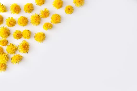 Angle frame made of fresh yellow Dandelion flowers on white background. Summer conceprt.