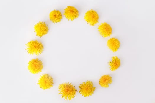 Round frame made of dandelions flowers. Summer concept, top view, flat lay