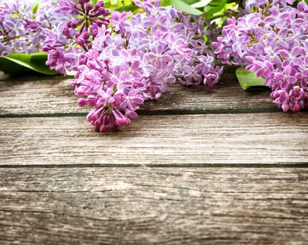 Fresh lilac flowers on olg wooden background