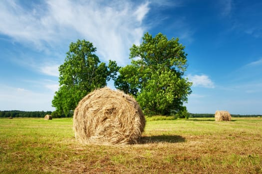 Hay bales with blue sky and white clouds
