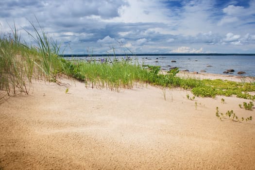 Sandy seaside at Baltic sea on summer day