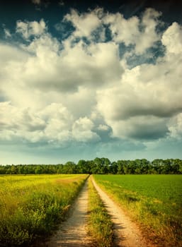 Countryside road on the field in sunny day