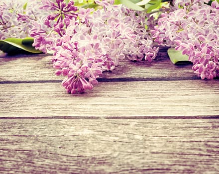 Fresh lilac flowers on olg wooden background