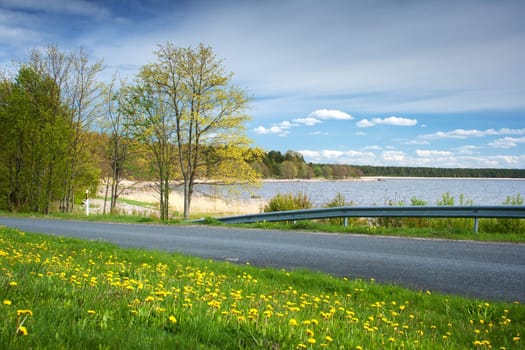 Asphalt road and yellow dandelions near seaside