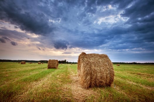 Hay bales on the field at summer evening