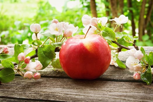 Apple with flowers on wooden board outdoors