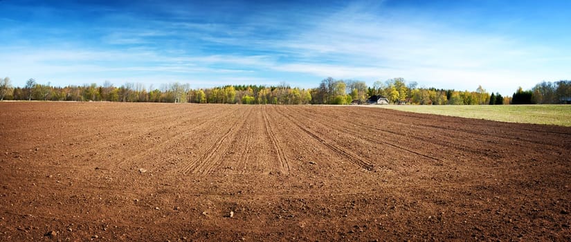 pasture on sunny day in early spring