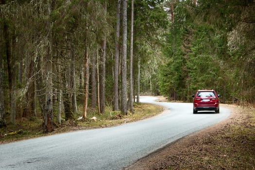 asphalt road on cloudy spring day in the forest