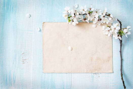 fresh cherry flowers on old wooden board