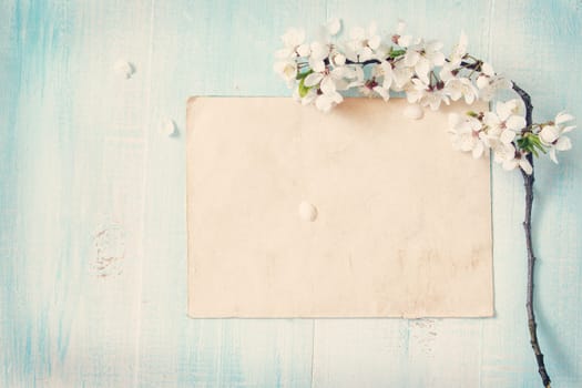 fresh cherry flowers on old wooden board