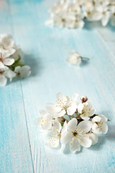 fresh cherry flowers on old wooden board