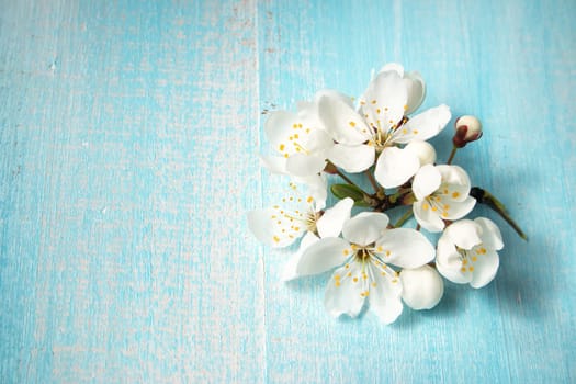 fresh cherry flowers on old wooden board