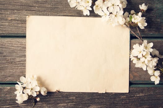 fresh cherry flowers on old wooden board