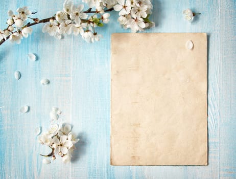 fresh cherry flowers on old wooden board