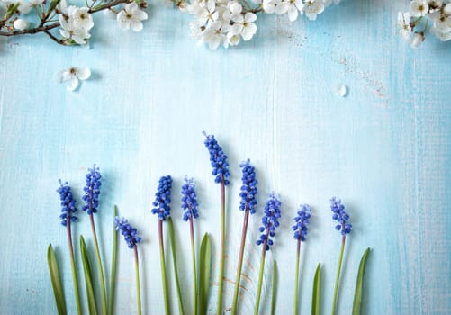 fresh cherry flowers on old wooden board