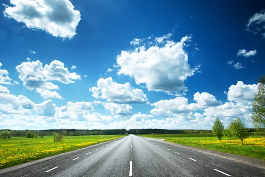 Asphalt road and dandelion field on synny day