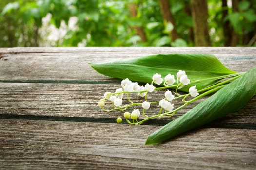Lily of the valley flowers on wooden background