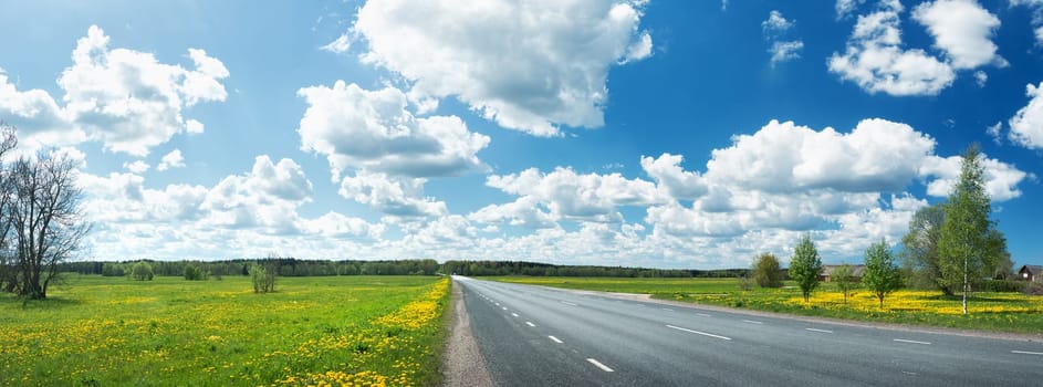 Asphalt road and dandelion field on synny day