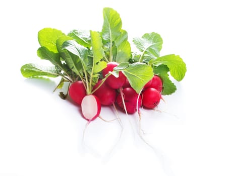 fresh red radishes isolated on white background