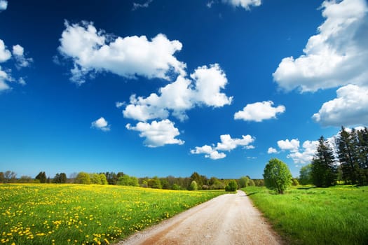 Countryside road on the field and fluffy clouds in the sky