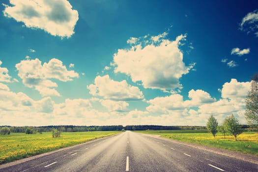 Asphalt road and dandelion field on synny day
