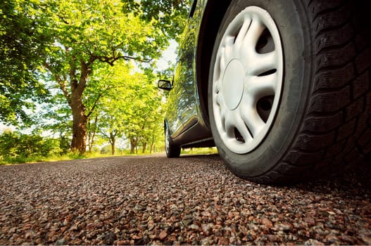 Car on asphalt road on summer day at park