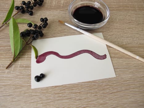 Painting with black violet plant ink made from privet berries