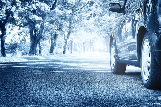 Car on asphalt road on summer day at park