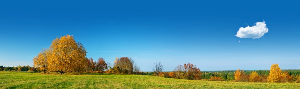 Field panorama on autumnal day with a single cloud in the sky