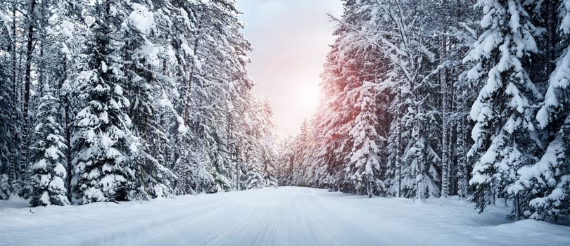 winter panorama on the road through coniferous forest