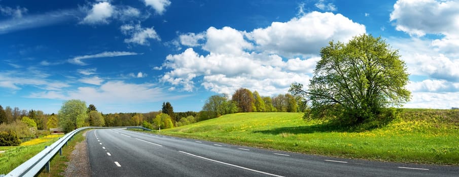 asphalt road panorama in countryside on sunny spring day