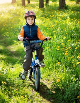 bike in the park with dandelions in pleasant sunny spring day
