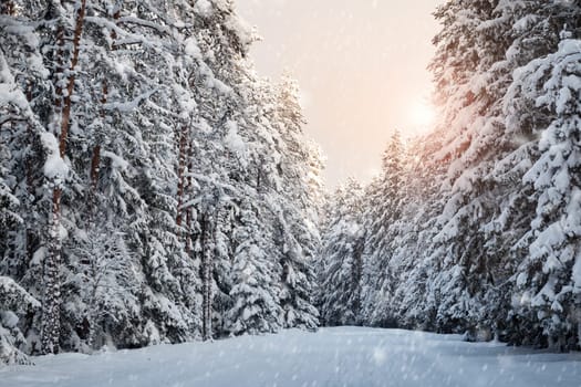 car on winter road in the morning