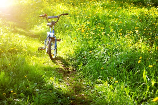 bike in the park with dandelions in pleasant sunny spring day