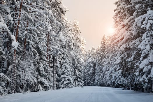 car on winter road in the morning
