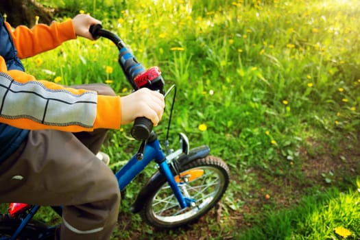 child on bike in the park with dandelions in pleasant sunny spring day
