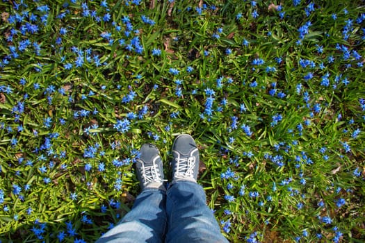 view to spring flowers in the park. Beautiful morning with sunshine. Feet in shoes on the ground