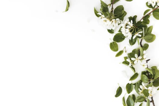 Spring composition. Blooming spring pear branches on a white background, floral frame, top view, flat layout. Spring concept.
