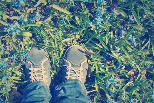 view to spring flowers in the park. Beautiful morning with sunshine. Feet in shoes on the ground