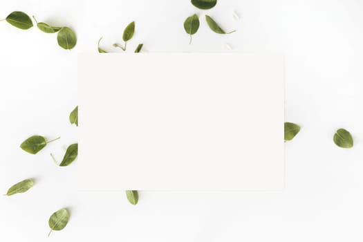 Leaves and blank white card on white background, Top view. Flat lay. Mockup.