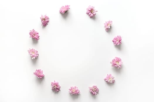 Round frame with pink flowers bud isolated on white background. Flat lay, top view.