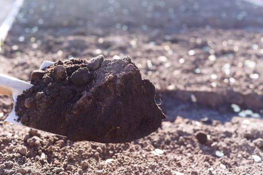 Spade with ground black earth