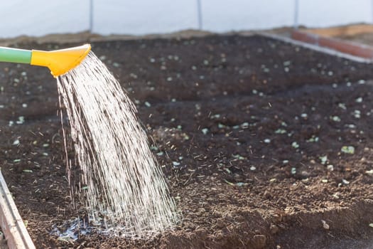 Watering garden ground